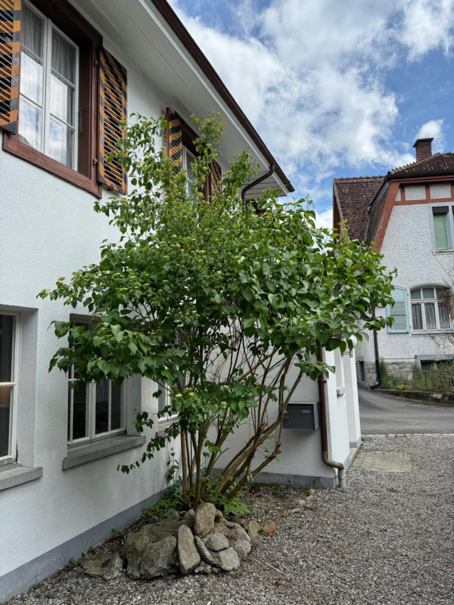 Garden House Villa อินเทอร์ลาเคน ภายนอก รูปภาพ